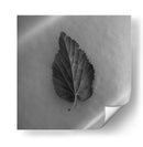 Hoja en blanco - M Gutierrez | Cuadro decorativo de Canvas Lab