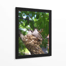 Colibríes Polluelos  - M Gutierrez | Cuadro decorativo de Canvas Lab