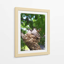 Colibríes Polluelos  - M Gutierrez | Cuadro decorativo de Canvas Lab