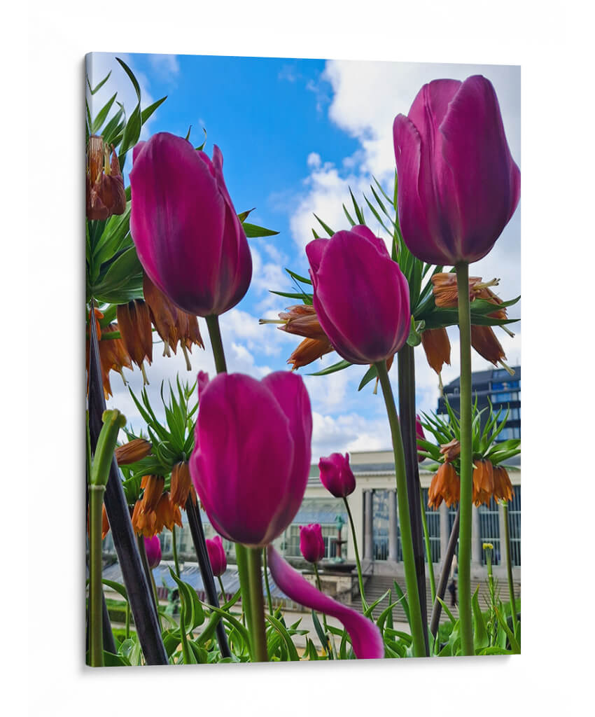 Tulipanes - M Gutierrez | Cuadro decorativo de Canvas Lab