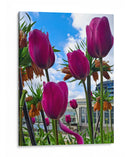 Tulipanes - M Gutierrez | Cuadro decorativo de Canvas Lab