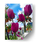 Tulipanes - M Gutierrez | Cuadro decorativo de Canvas Lab