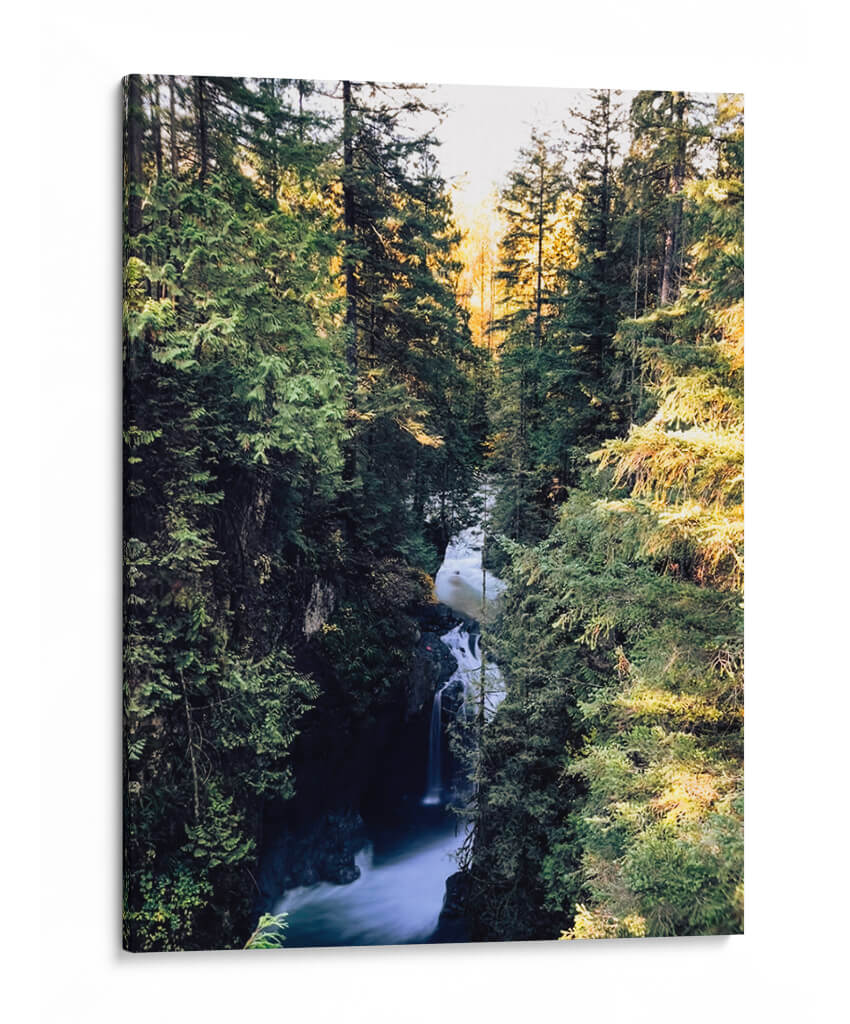 lynn canyon park II - E Ordóñez | Cuadro decorativo de Canvas Lab