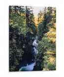 lynn canyon park II - E Ordóñez | Cuadro decorativo de Canvas Lab
