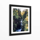 lynn canyon park II - E Ordóñez | Cuadro decorativo de Canvas Lab