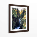 lynn canyon park II - E Ordóñez | Cuadro decorativo de Canvas Lab
