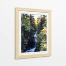 lynn canyon park II - E Ordóñez | Cuadro decorativo de Canvas Lab