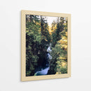 lynn canyon park II - E Ordóñez | Cuadro decorativo de Canvas Lab
