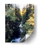 lynn canyon park II - E Ordóñez | Cuadro decorativo de Canvas Lab
