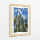 Gigantes verdes - E Ordóñez | Cuadro decorativo de Canvas Lab