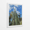 Gigantes verdes - E Ordóñez | Cuadro decorativo de Canvas Lab