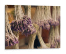 Lavanda - E Ordóñez | Cuadro decorativo de Canvas Lab