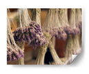 Lavanda - E Ordóñez | Cuadro decorativo de Canvas Lab