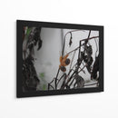 Caracoles - Hugo Segura | Cuadro decorativo de Canvas Lab