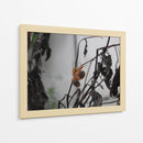 Caracoles - Hugo Segura | Cuadro decorativo de Canvas Lab