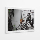 Caracoles - Hugo Segura | Cuadro decorativo de Canvas Lab
