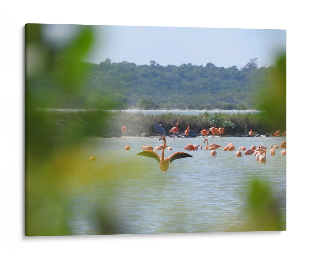 Flamingo - Hugo Segura | Cuadro decorativo de Canvas Lab