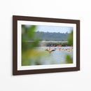 Flamingo - Hugo Segura | Cuadro decorativo de Canvas Lab