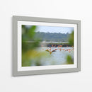 Flamingo - Hugo Segura | Cuadro decorativo de Canvas Lab