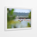 Flamingo - Hugo Segura | Cuadro decorativo de Canvas Lab
