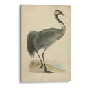 Morris Grane I - Morris | Cuadro decorativo de Canvas Lab