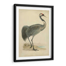 Morris Grane I - Morris | Cuadro decorativo de Canvas Lab