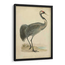 Morris Grane I - Morris | Cuadro decorativo de Canvas Lab