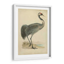 Morris Grane I - Morris | Cuadro decorativo de Canvas Lab