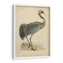 Morris Grane I - Morris | Cuadro decorativo de Canvas Lab