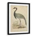 Morris Crane Ii - Morris | Cuadro decorativo de Canvas Lab