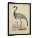 Morris Crane Ii - Morris | Cuadro decorativo de Canvas Lab