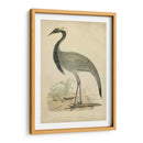 Morris Crane Ii - Morris | Cuadro decorativo de Canvas Lab