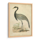 Morris Crane Ii - Morris | Cuadro decorativo de Canvas Lab