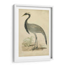 Morris Crane Ii - Morris | Cuadro decorativo de Canvas Lab