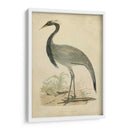 Morris Crane Ii - Morris | Cuadro decorativo de Canvas Lab