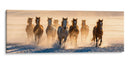 Caballos galopando III - Caperh | Cuadro decorativo de Canvas Lab
