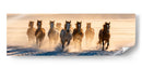Caballos galopando III - Caperh | Cuadro decorativo de Canvas Lab