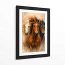Caballos salvajes - Caperh | Cuadro decorativo de Canvas Lab