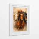 Caballos salvajes - Caperh | Cuadro decorativo de Canvas Lab