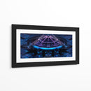 Centrífuga espacial - Caperh | Cuadro decorativo de Canvas Lab
