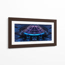 Centrífuga espacial - Caperh | Cuadro decorativo de Canvas Lab