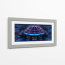 Centrífuga espacial - Caperh | Cuadro decorativo de Canvas Lab