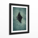 THE RAY - Gibran Becerril  | Cuadro decorativo de Canvas Lab