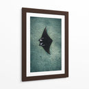 THE RAY - Gibran Becerril  | Cuadro decorativo de Canvas Lab