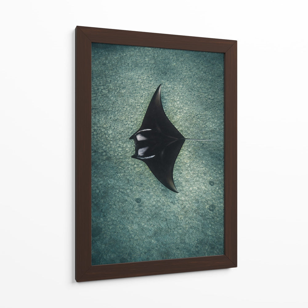 THE RAY - Gibran Becerril  | Cuadro decorativo de Canvas Lab