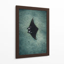 THE RAY - Gibran Becerril  | Cuadro decorativo de Canvas Lab