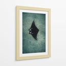 THE RAY - Gibran Becerril  | Cuadro decorativo de Canvas Lab
