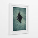 THE RAY - Gibran Becerril  | Cuadro decorativo de Canvas Lab