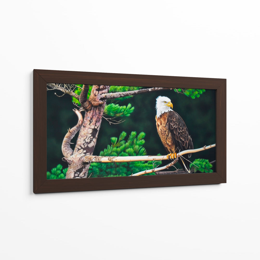 Águila calva - Caperh | Cuadro decorativo de Canvas Lab