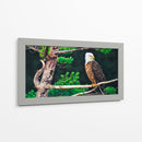 Águila calva - Caperh | Cuadro decorativo de Canvas Lab